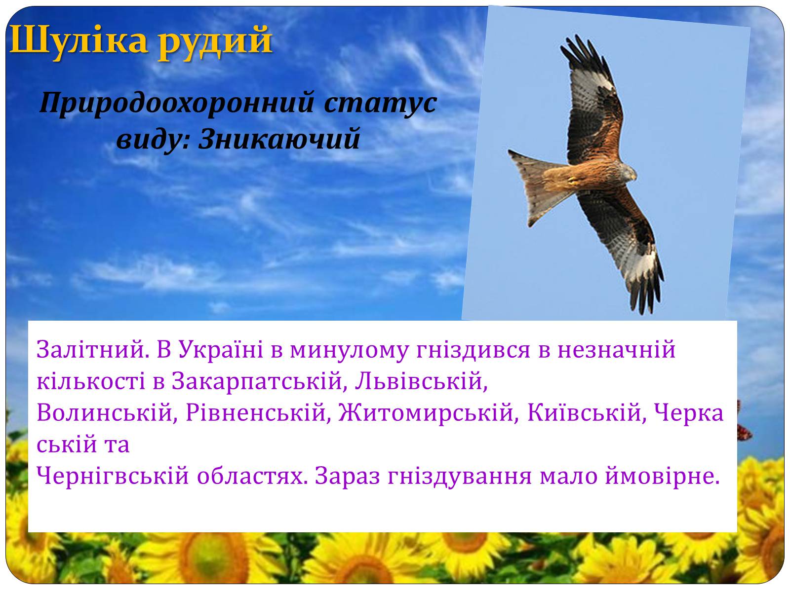Презентація на тему «Птахи занесені до Червоної книги України» - Слайд #27