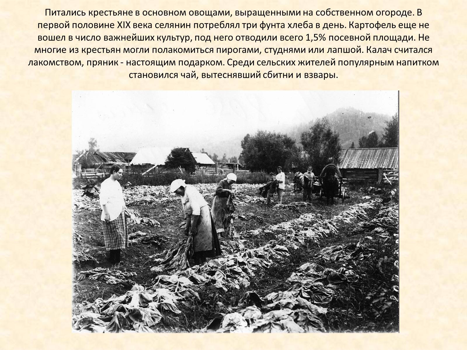 Презентація на тему «Повседневная жизнь россиян в 19 веке» - Слайд #16
