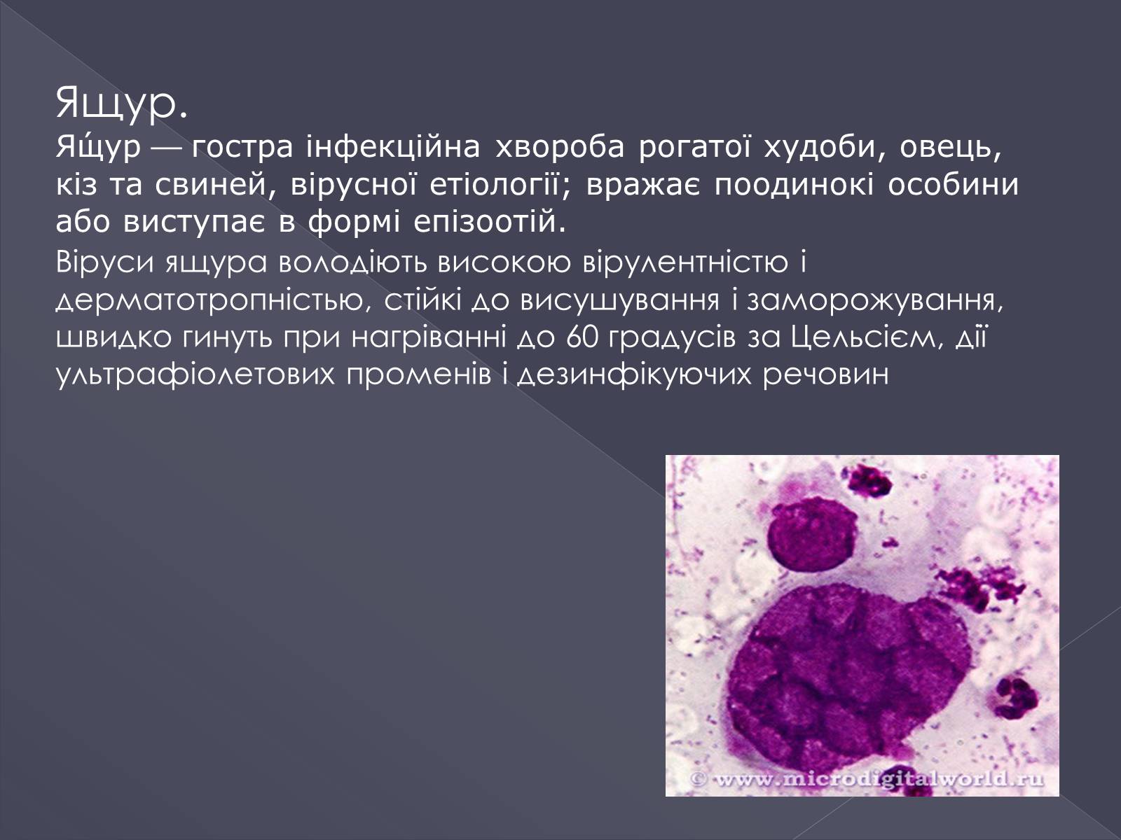 Презентація на тему «Вірусні хвороби тварин» - Слайд #10