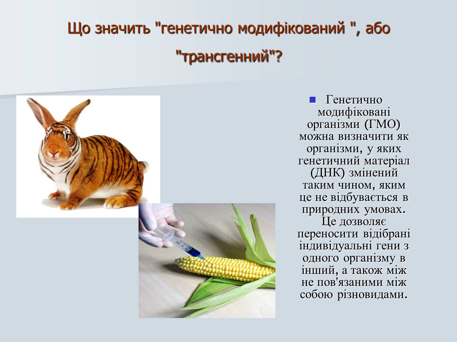Презентація на тему «Генетично модифіковані організми» (варіант 4) - Слайд #3
