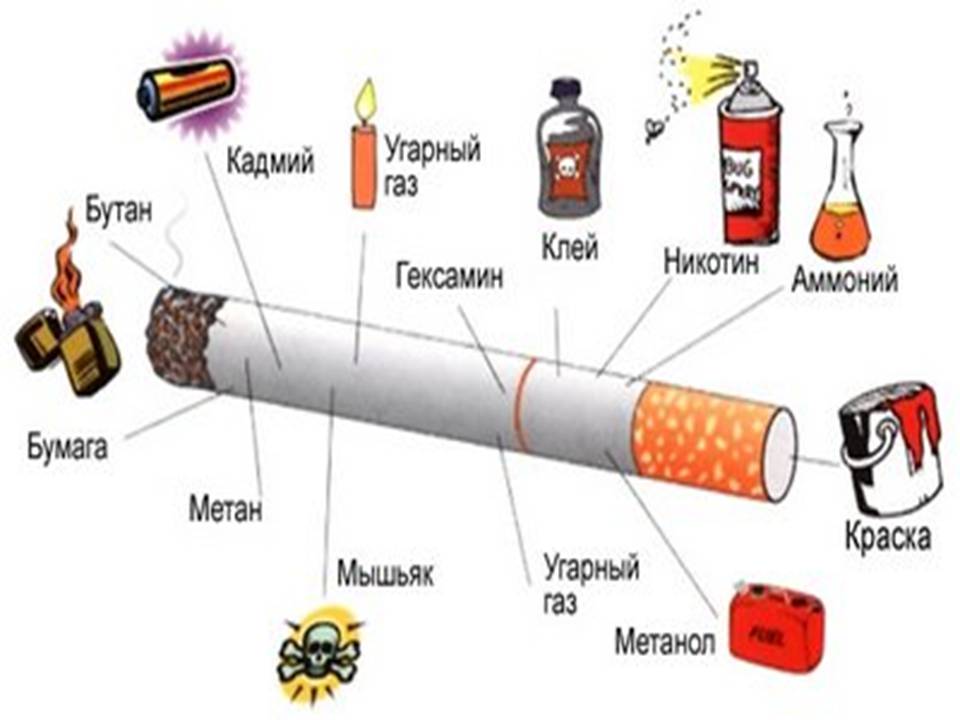 Презентація на тему «Влияние курения на организм человека» - Слайд #6