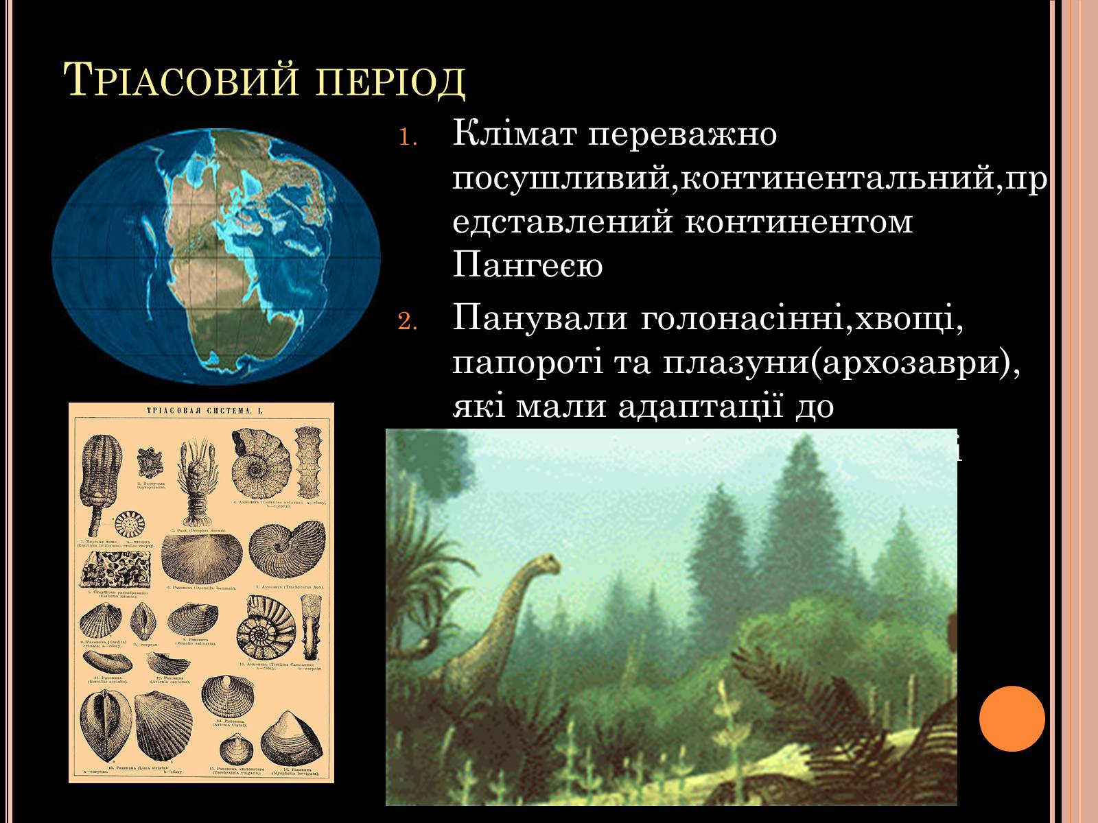 Презентація на тему «Розвиток органічного світу в мезозойську еру» (варіант 1) - Слайд #5