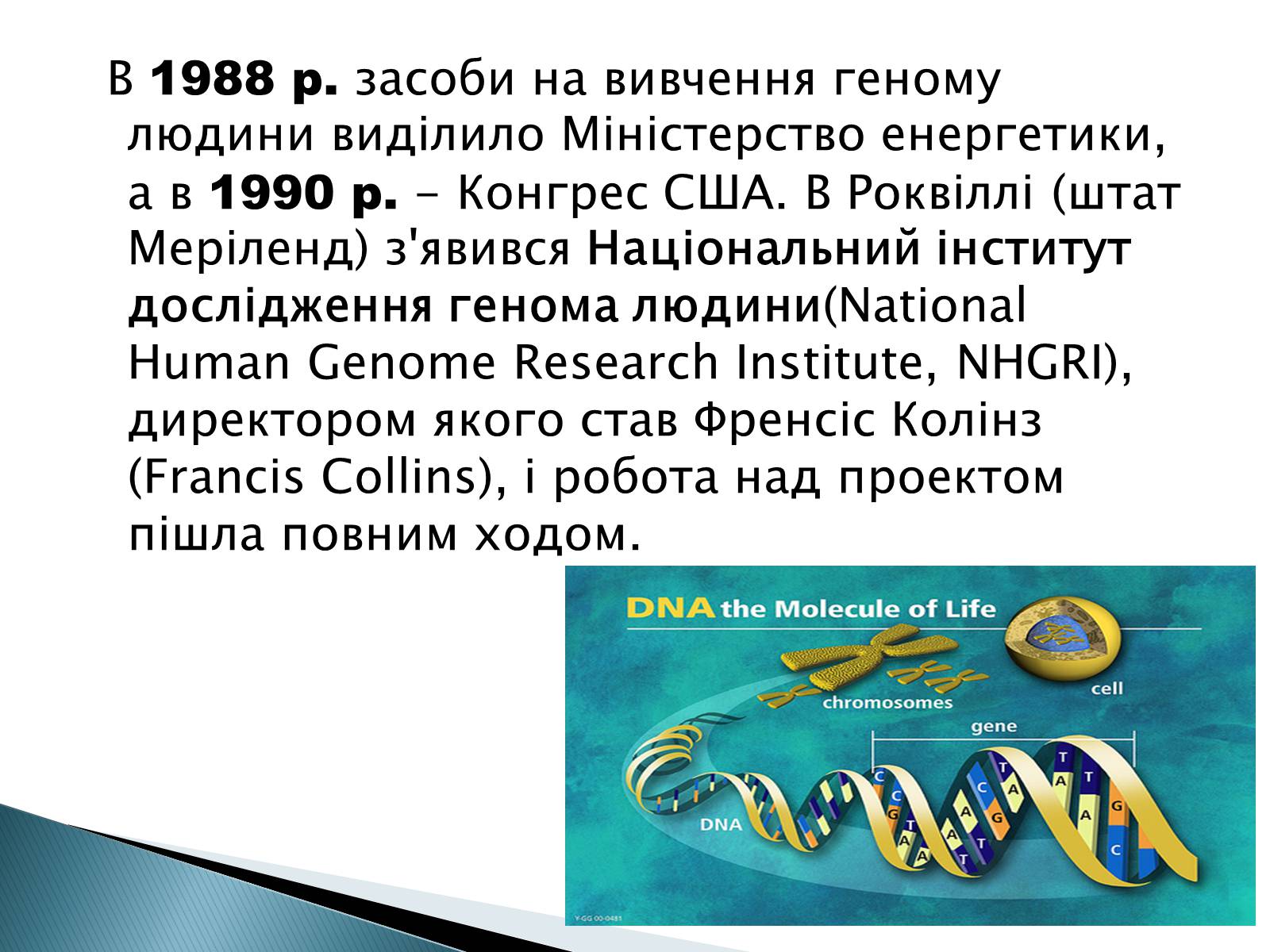 Презентація на тему «Геном Людини» - Слайд #7