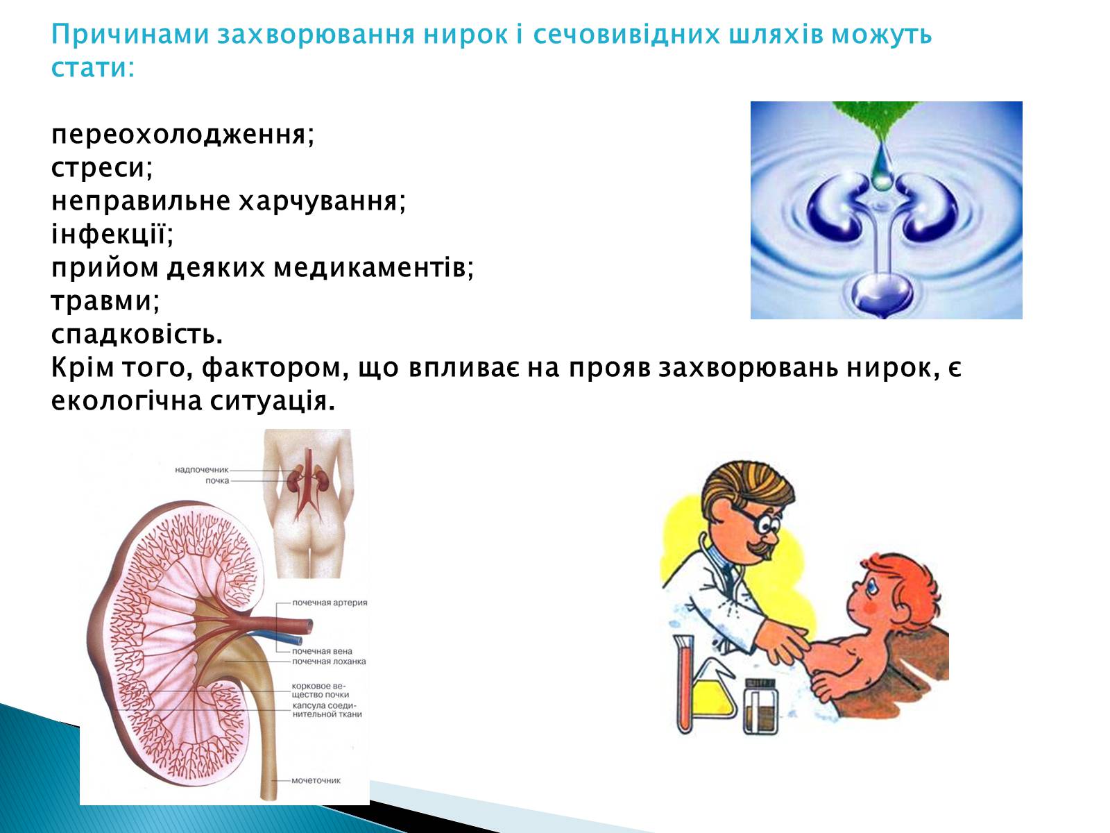 Презентація на тему «Захворювання нирок і сечовивідних шляхів» - Слайд #3
