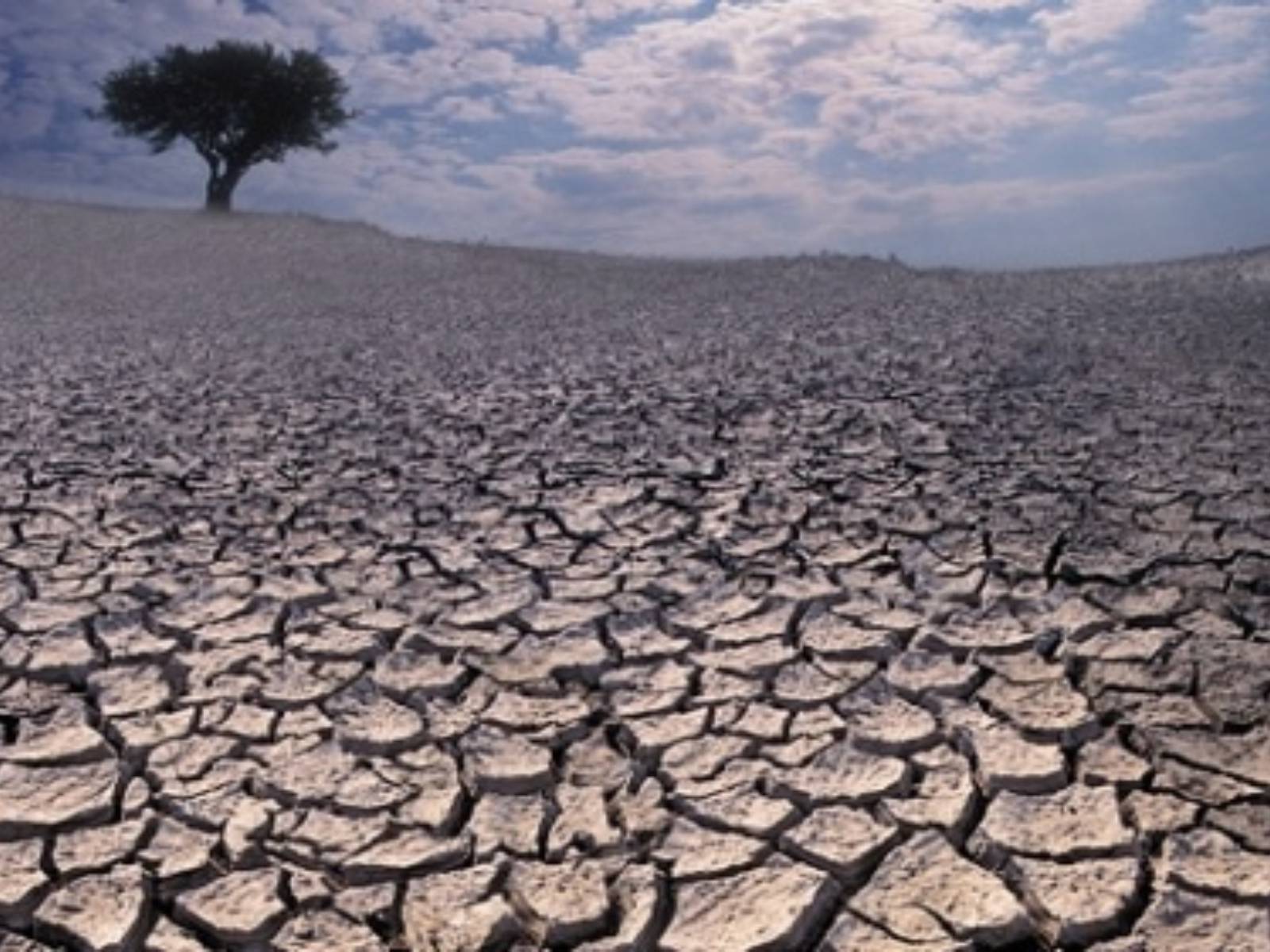 Почему засуха. Непригодные для жизни территории. Засуха и наводнение. Природные катаклизмы засуха. Изменение климата засуха.