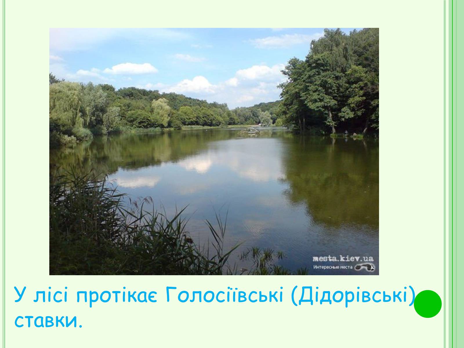 Презентація на тему «Національні парки України» - Слайд #11