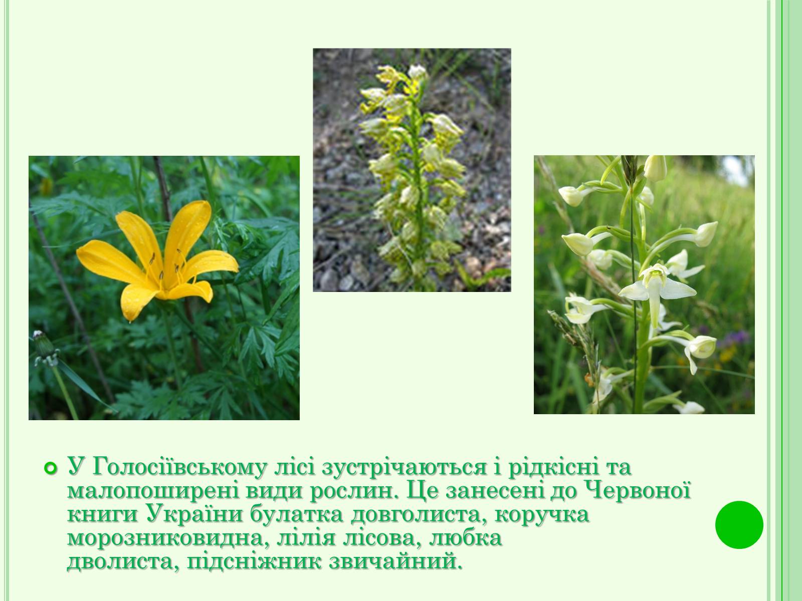 Презентація на тему «Національні парки України» - Слайд #13