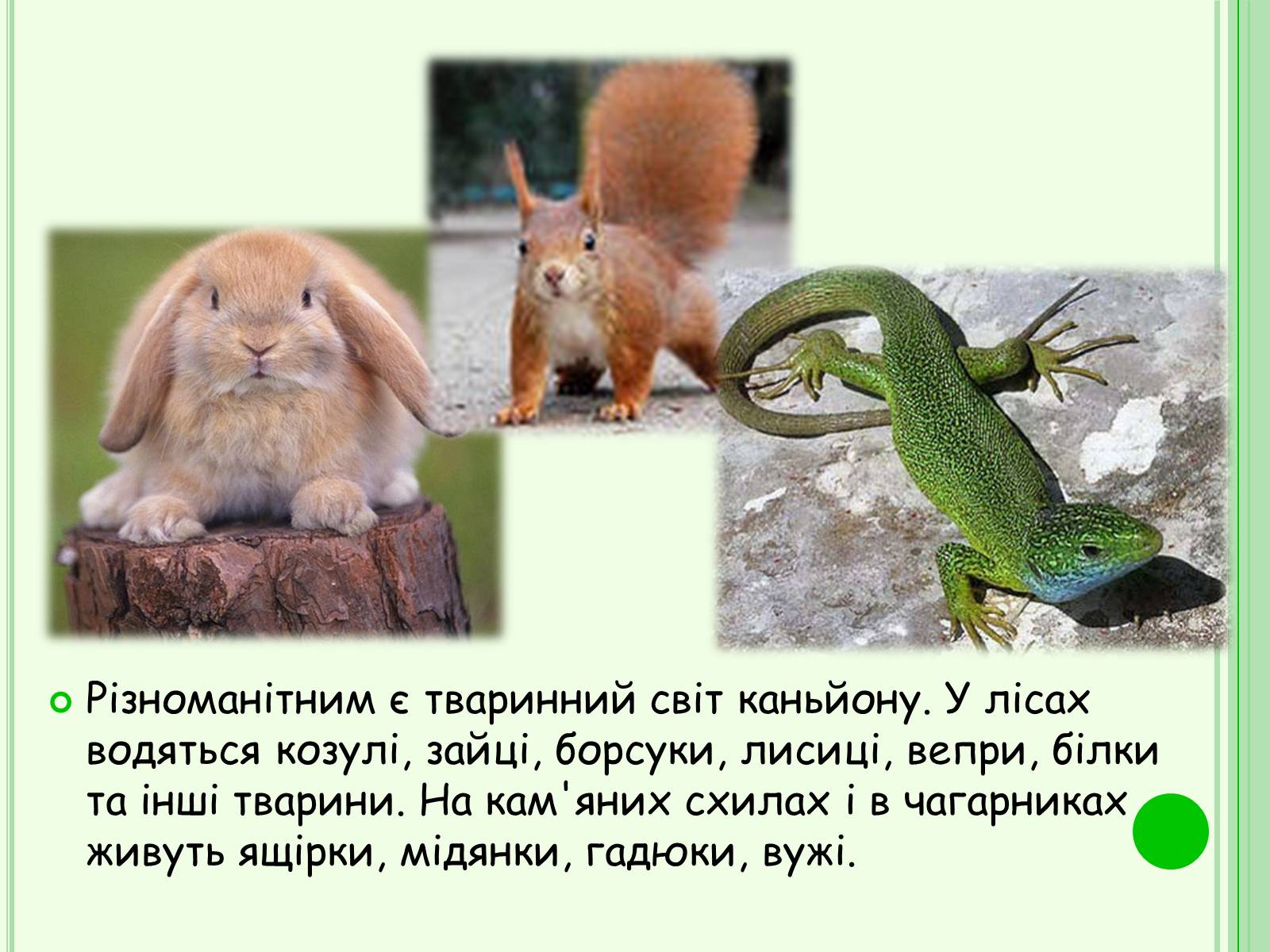 Презентація на тему «Національні парки України» - Слайд #19