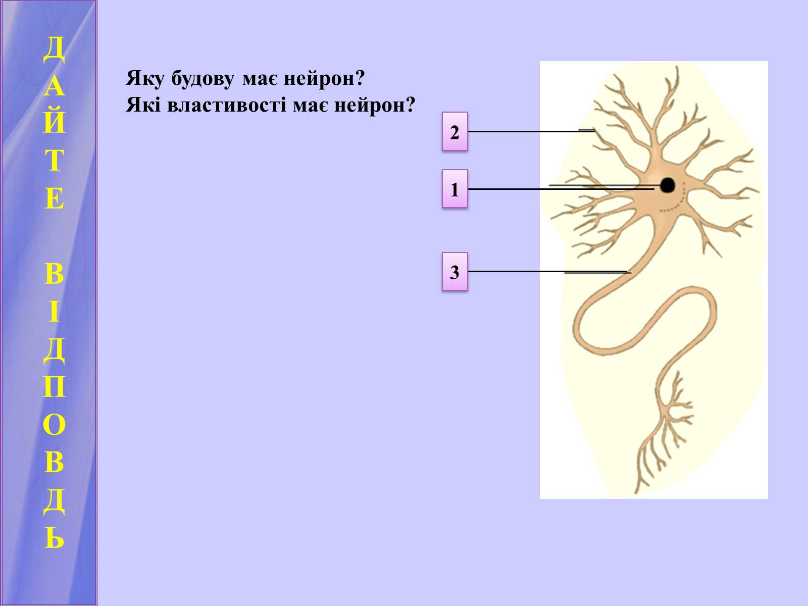 Презентація на тему «Нервова регуляція функцій організму» - Слайд #5