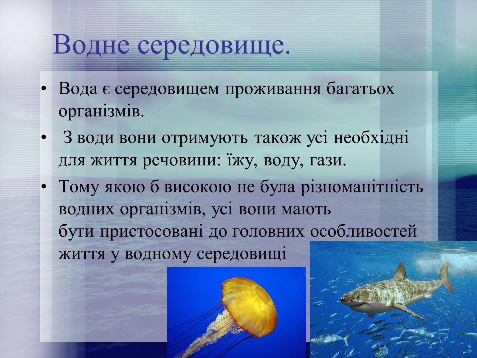 Презентація на тему «Середовища існування тварин» - Слайд #7