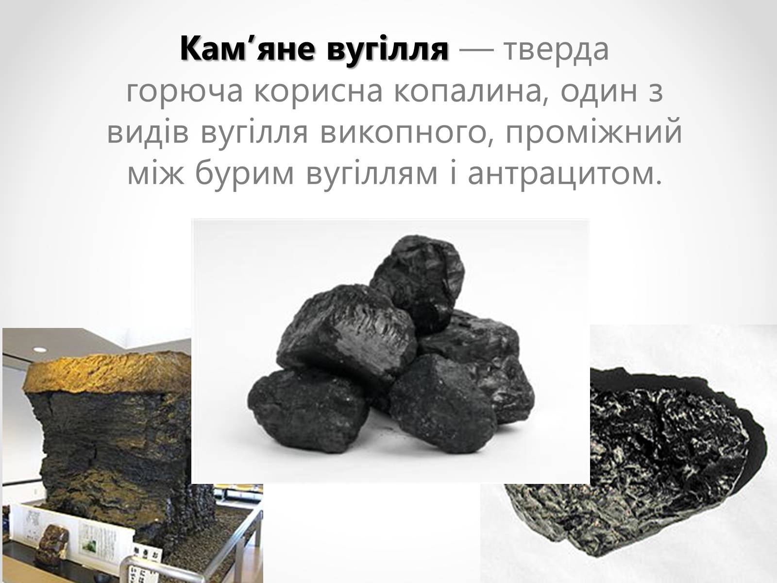 Презентація на тему «Кам’яне вугілля» (варіант 6) - Слайд #2