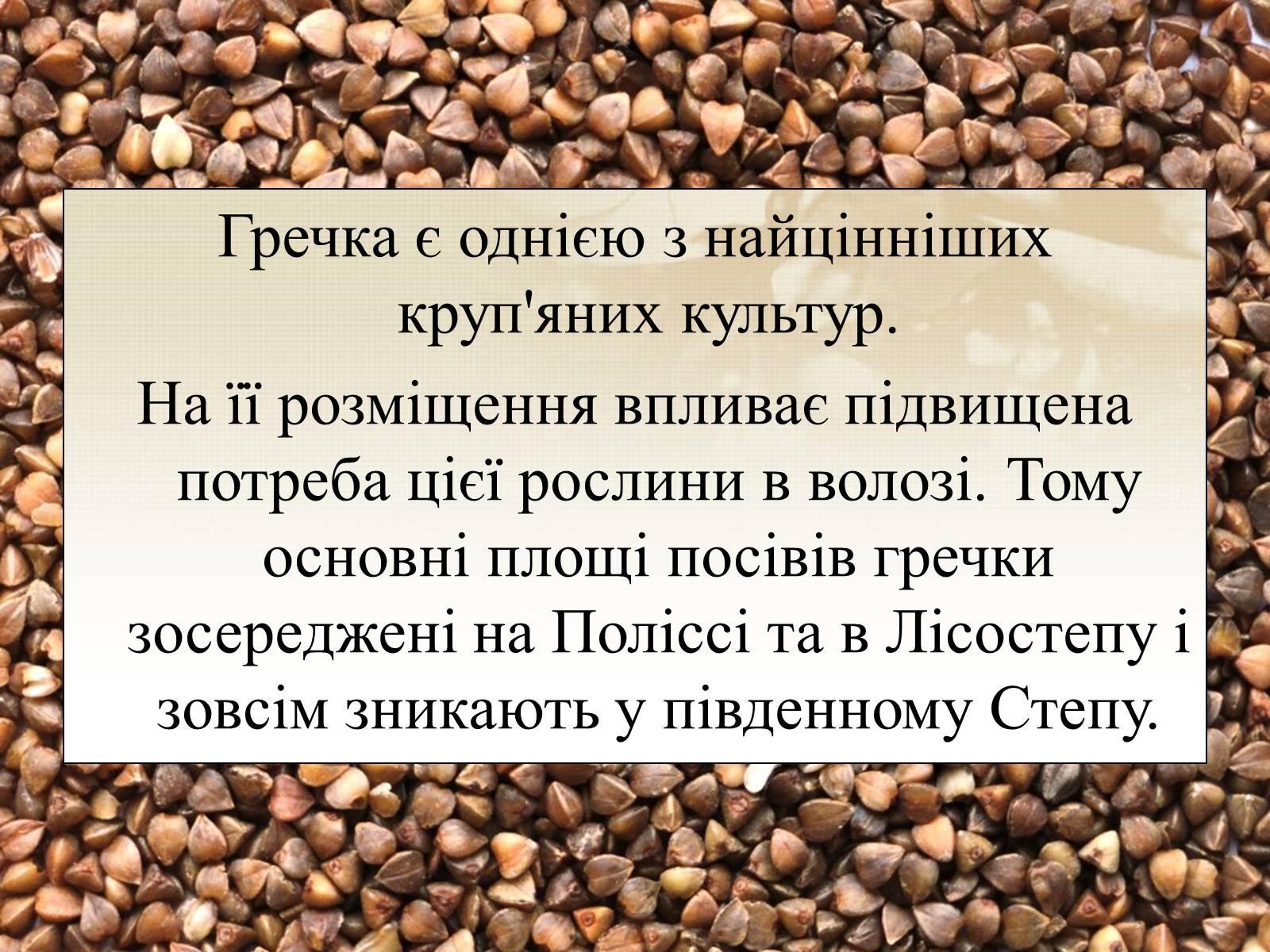 Презентація на тему «Вирощування еліти зернових культур України» - Слайд #6