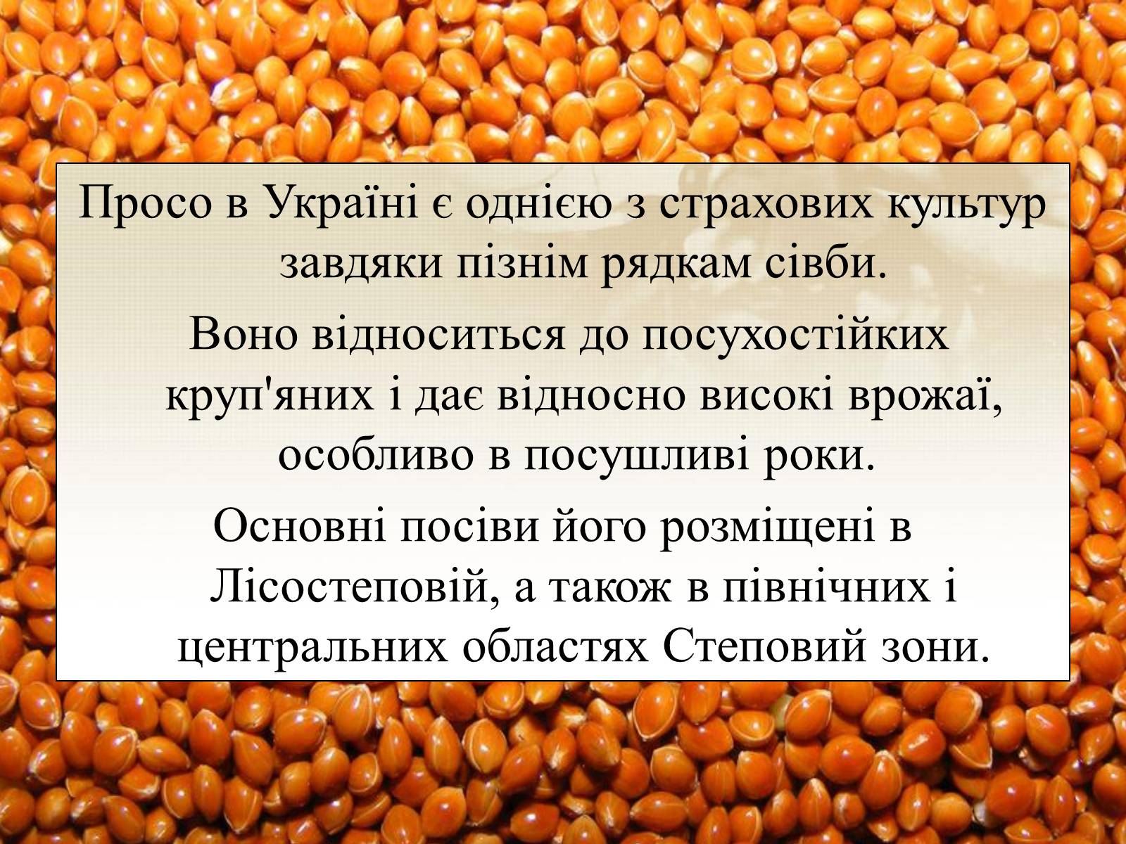 Презентація на тему «Вирощування еліти зернових культур України» - Слайд #7