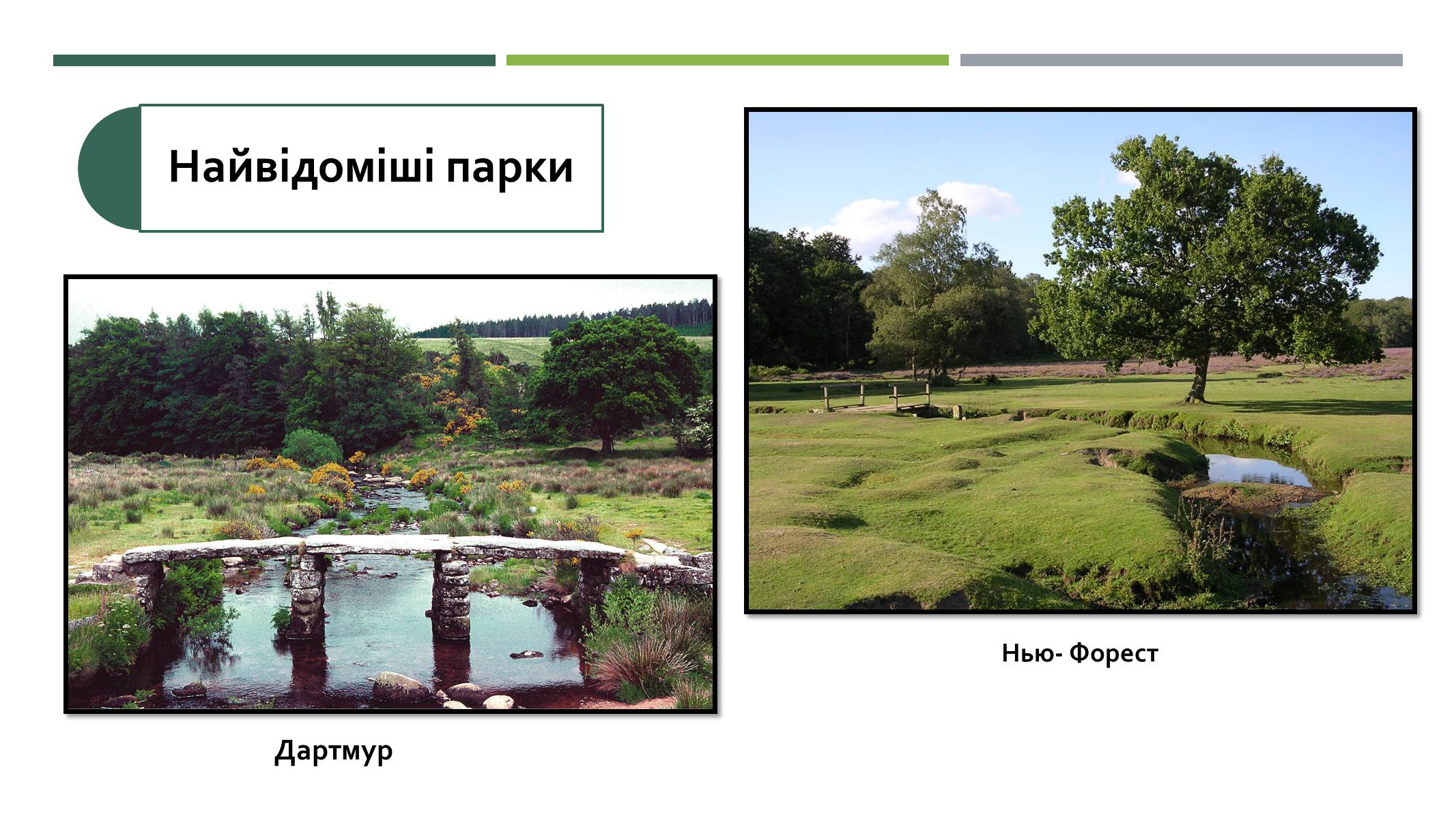 Презентація на тему «Природні парки Великої Британії» (варіант 2) - Слайд #7
