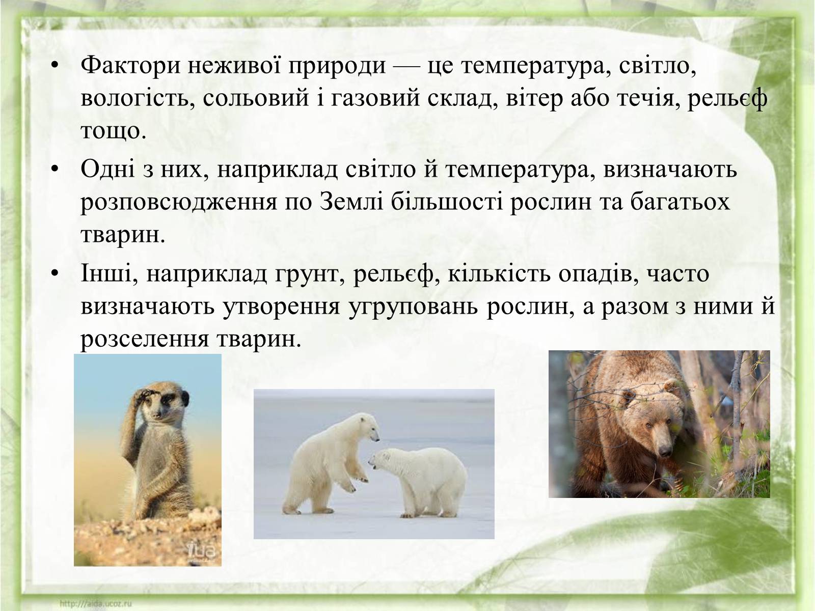 Презентація на тему «Середовища існування тварин» - Слайд #19