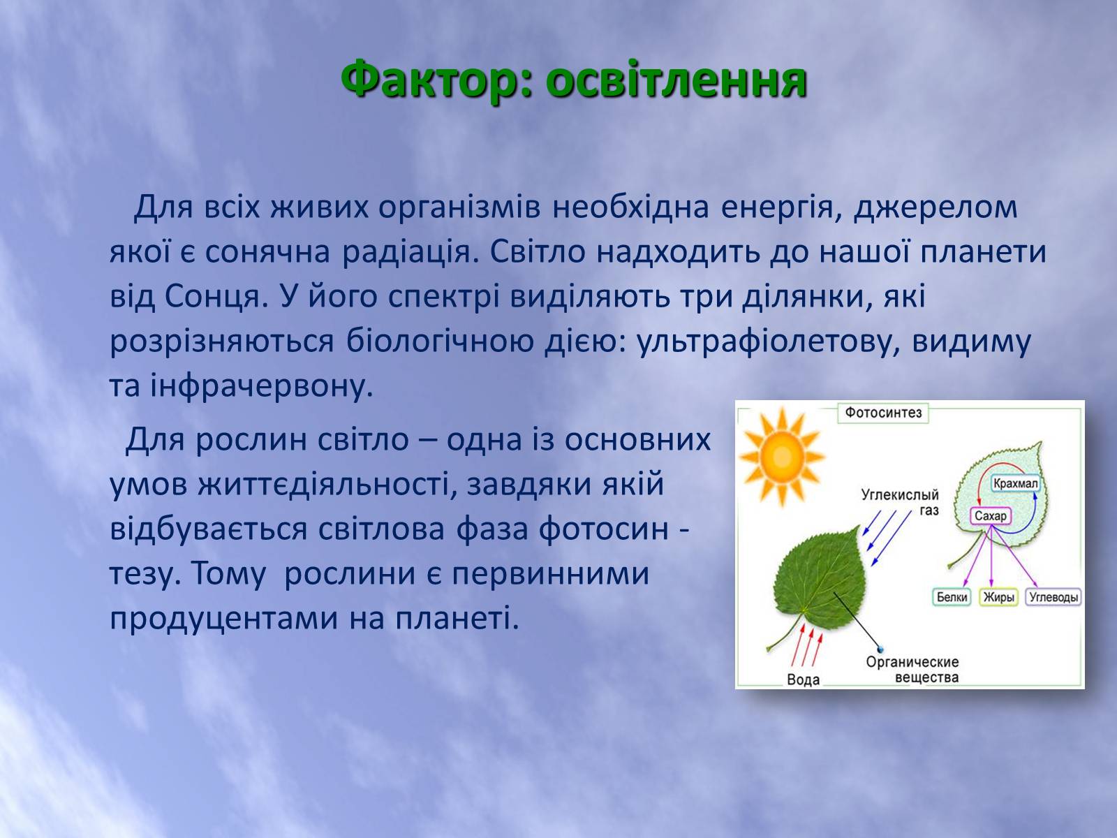 Презентація на тему «Наземно-повітряне середовище життя організмів» - Слайд #9