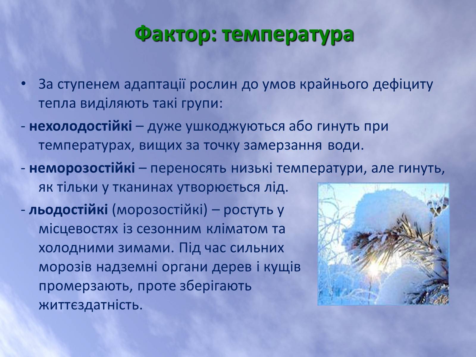 Презентація на тему «Наземно-повітряне середовище життя організмів» - Слайд #12
