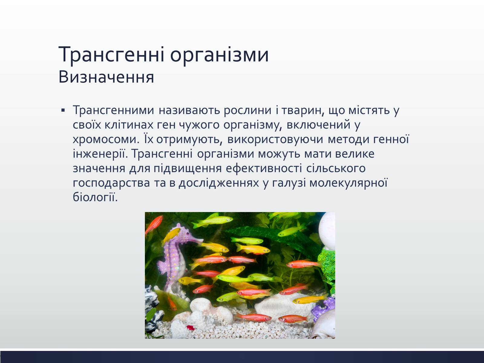 Презентація на тему «Химерні та трансгенні організми» (варіант 1) - Слайд #7