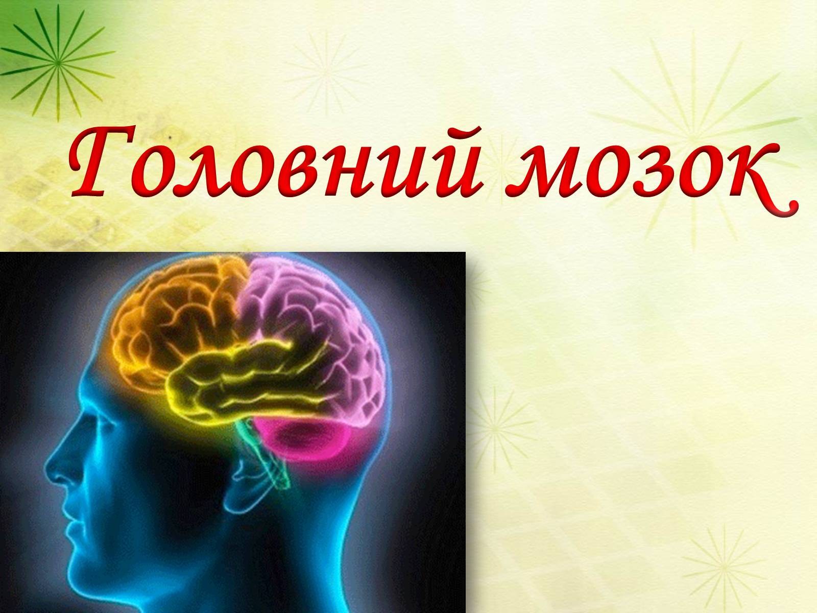 Презентація на тему «Головний мозок» (варіант 3) - Слайд #1