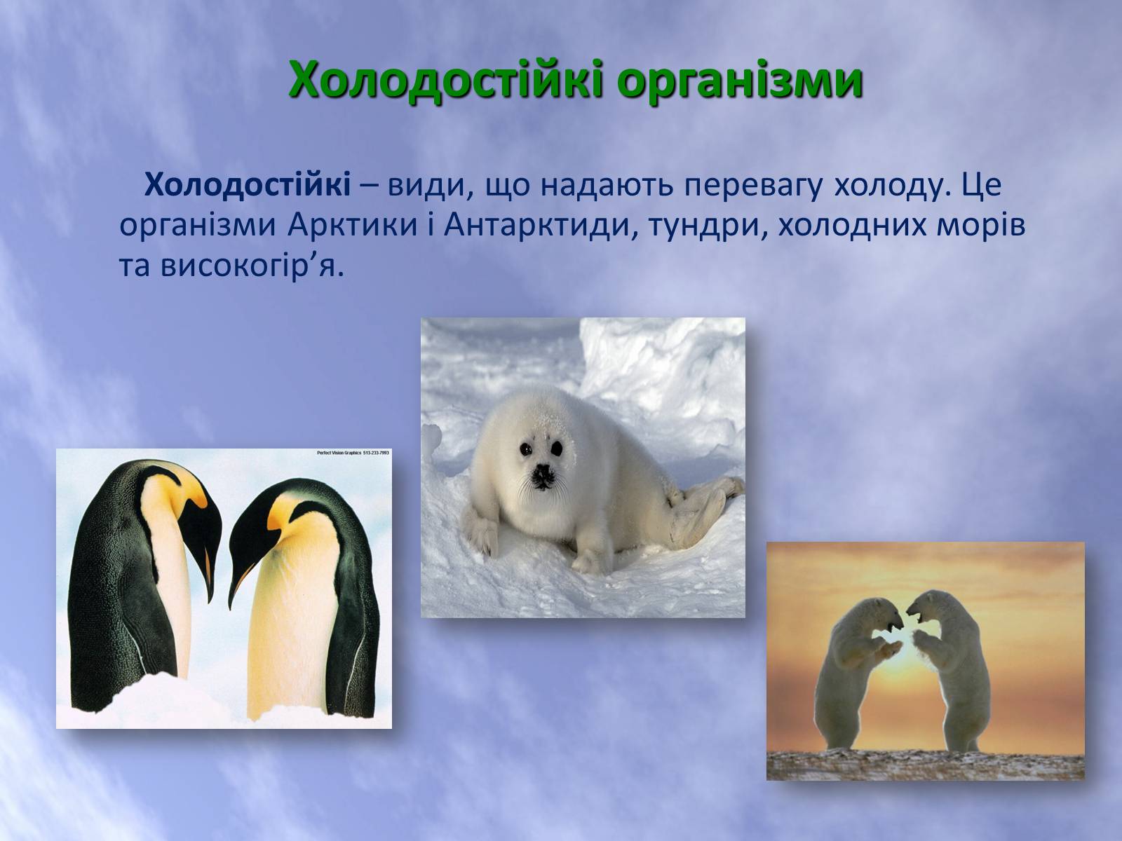 Презентація на тему «Наземно-повітряне середовище життя організмів» - Слайд #17