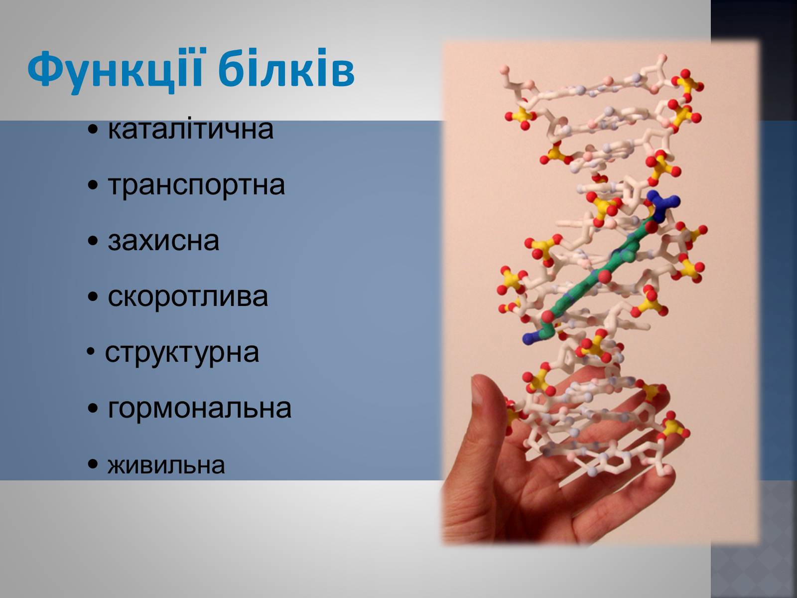 Презентація на тему «Хімія та їжа» (варіант 1) - Слайд #20