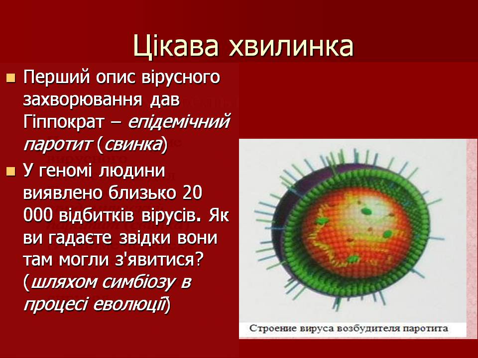 Вирус свинки. Структура вируса паротита. Вирус паротита строение. Вирус свинки строение. Вирус эпидемического паротита строение.