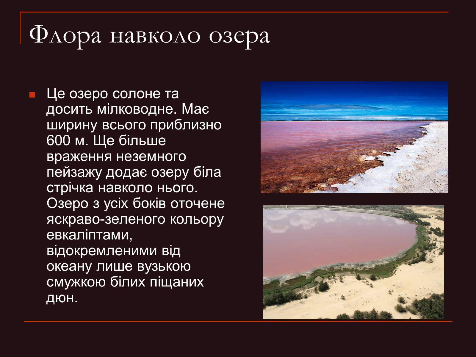 Презентація на тему «Рожеве озеро Хіллер» - Слайд #6