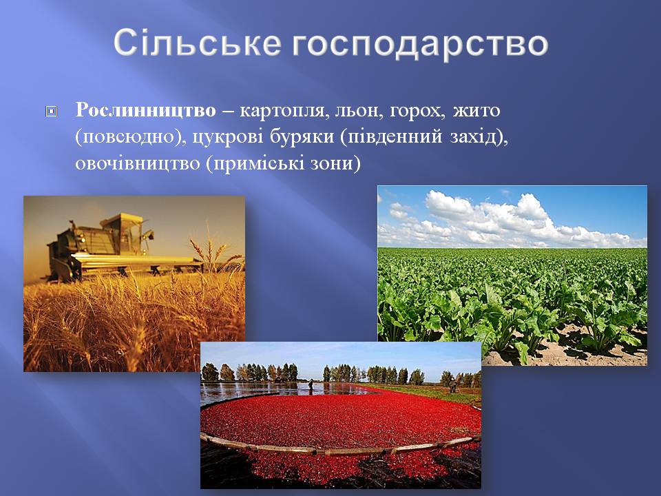 Презентація на тему «Білорусь» (варіант 8) - Слайд #14