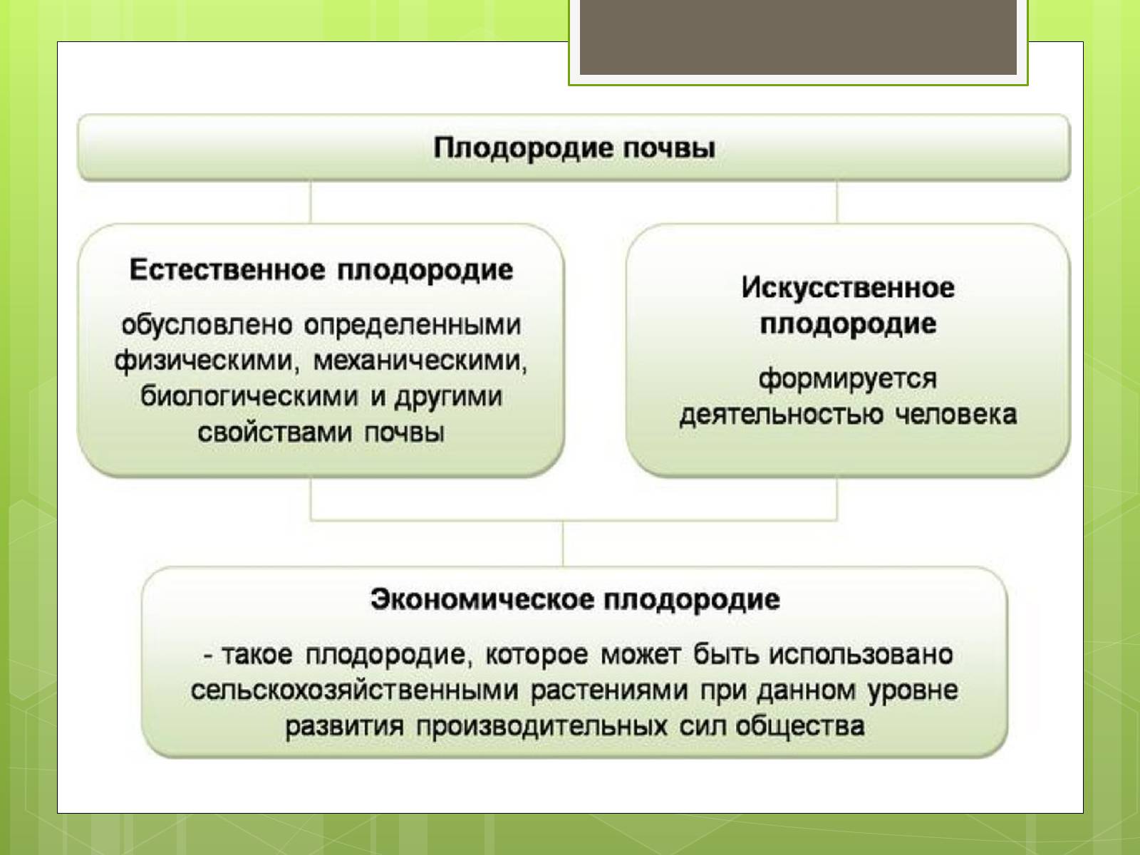 Презентація на тему «Почвы Украины» - Слайд #3