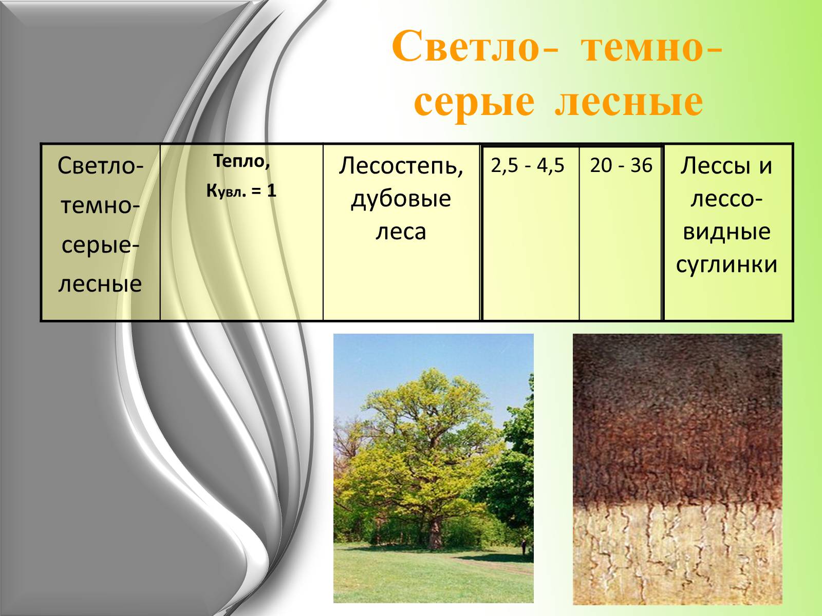 Презентація на тему «Почвы Украины» - Слайд #18