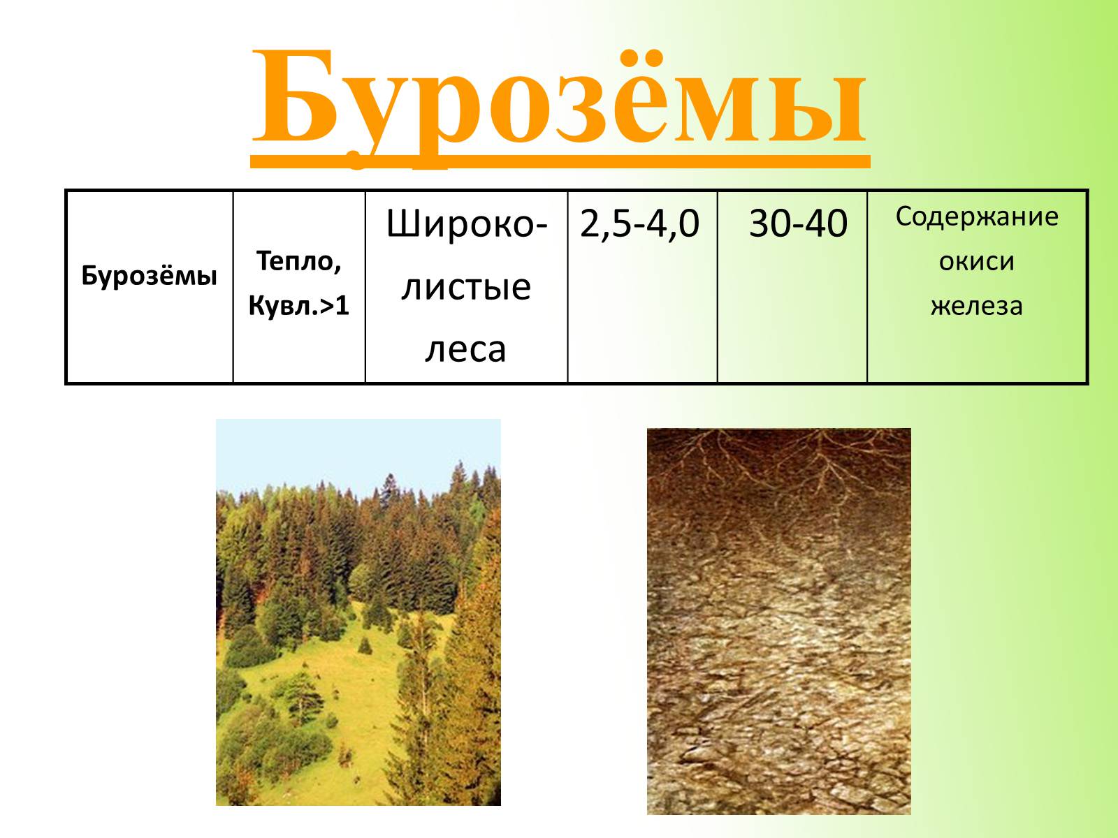 Презентація на тему «Почвы Украины» - Слайд #23
