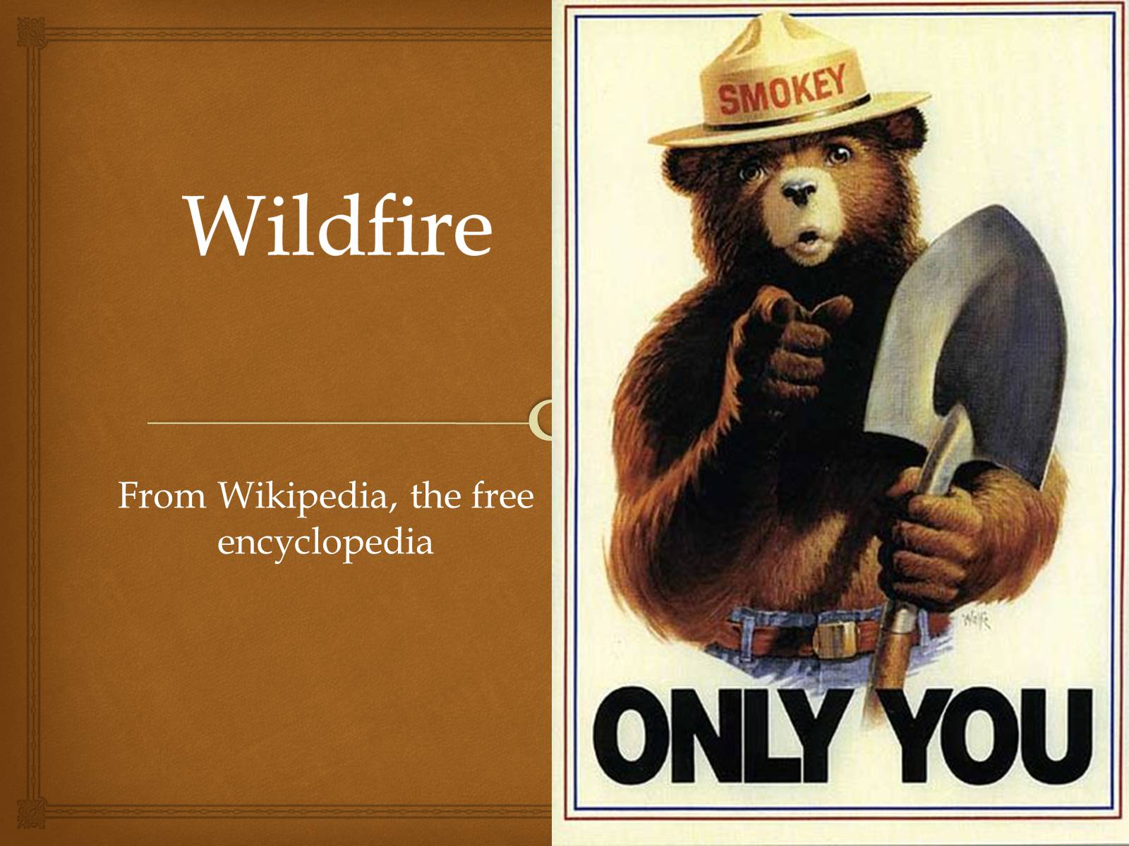 Презентація на тему «Wildfire» - Слайд #1