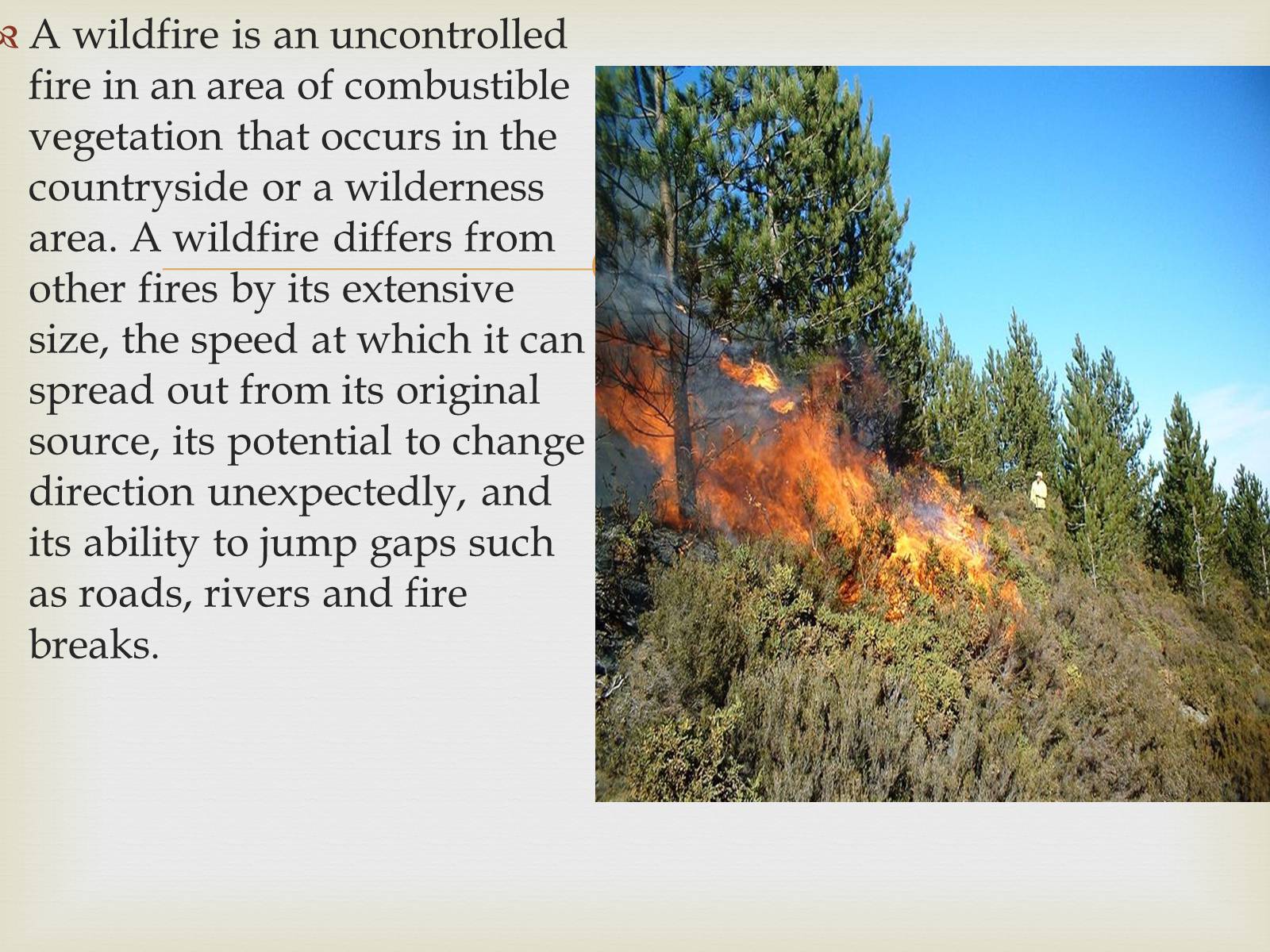 Презентація на тему «Wildfire» - Слайд #2