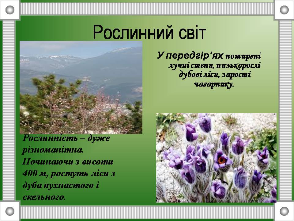 Презентація на тему «Кримські гори» (варіант 2) - Слайд #5