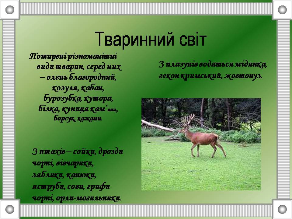 Презентація на тему «Кримські гори» (варіант 2) - Слайд #6