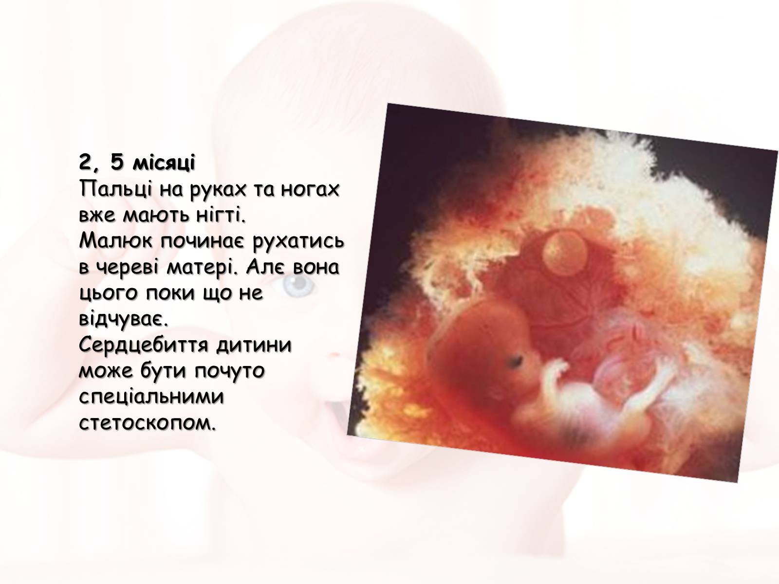 Презентація на тему «Розмноження та розвиток людини» (варіант 2) - Слайд #10
