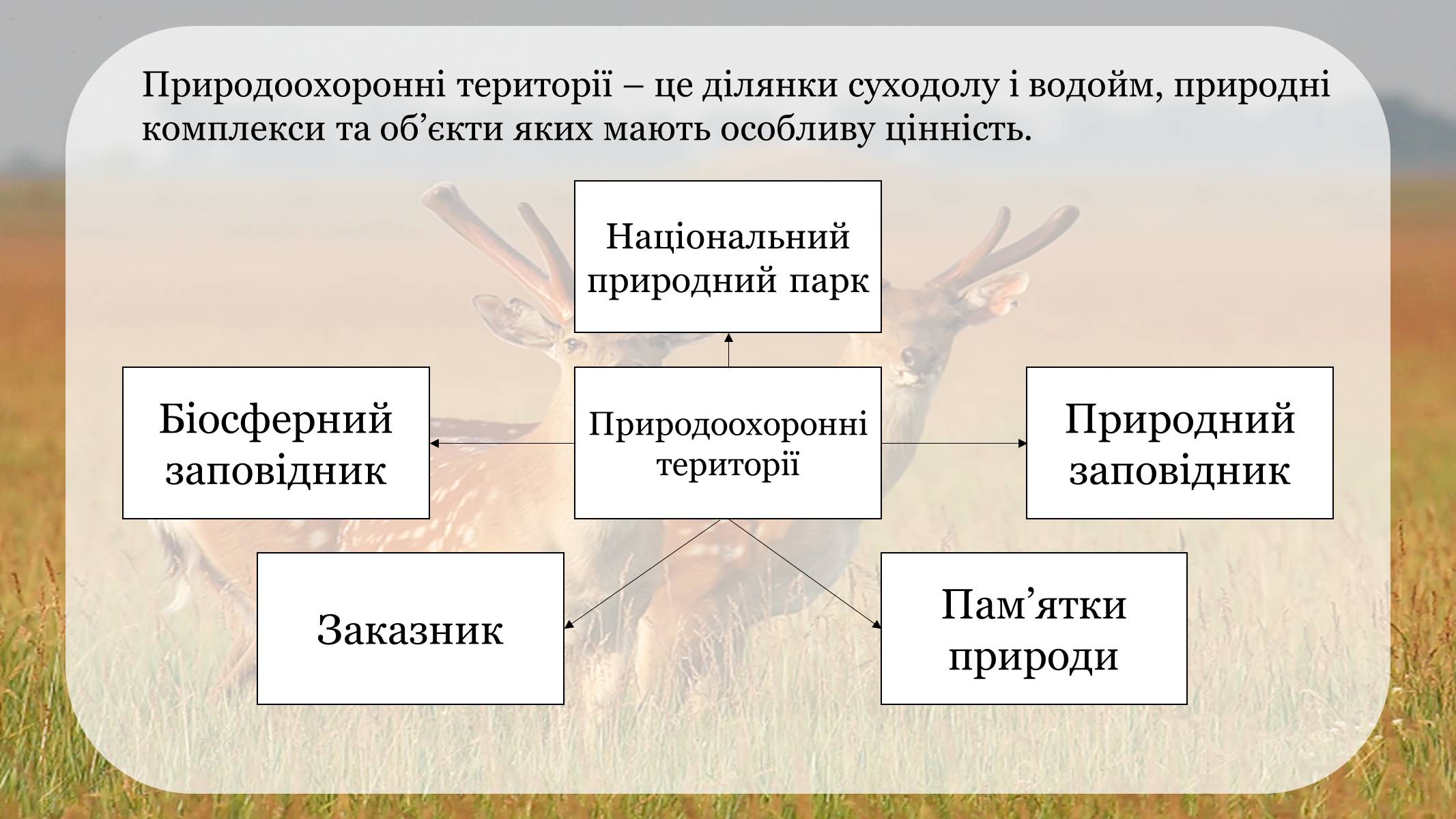 Презентація на тему «Природоохоронні території» (варіант 1) - Слайд #2
