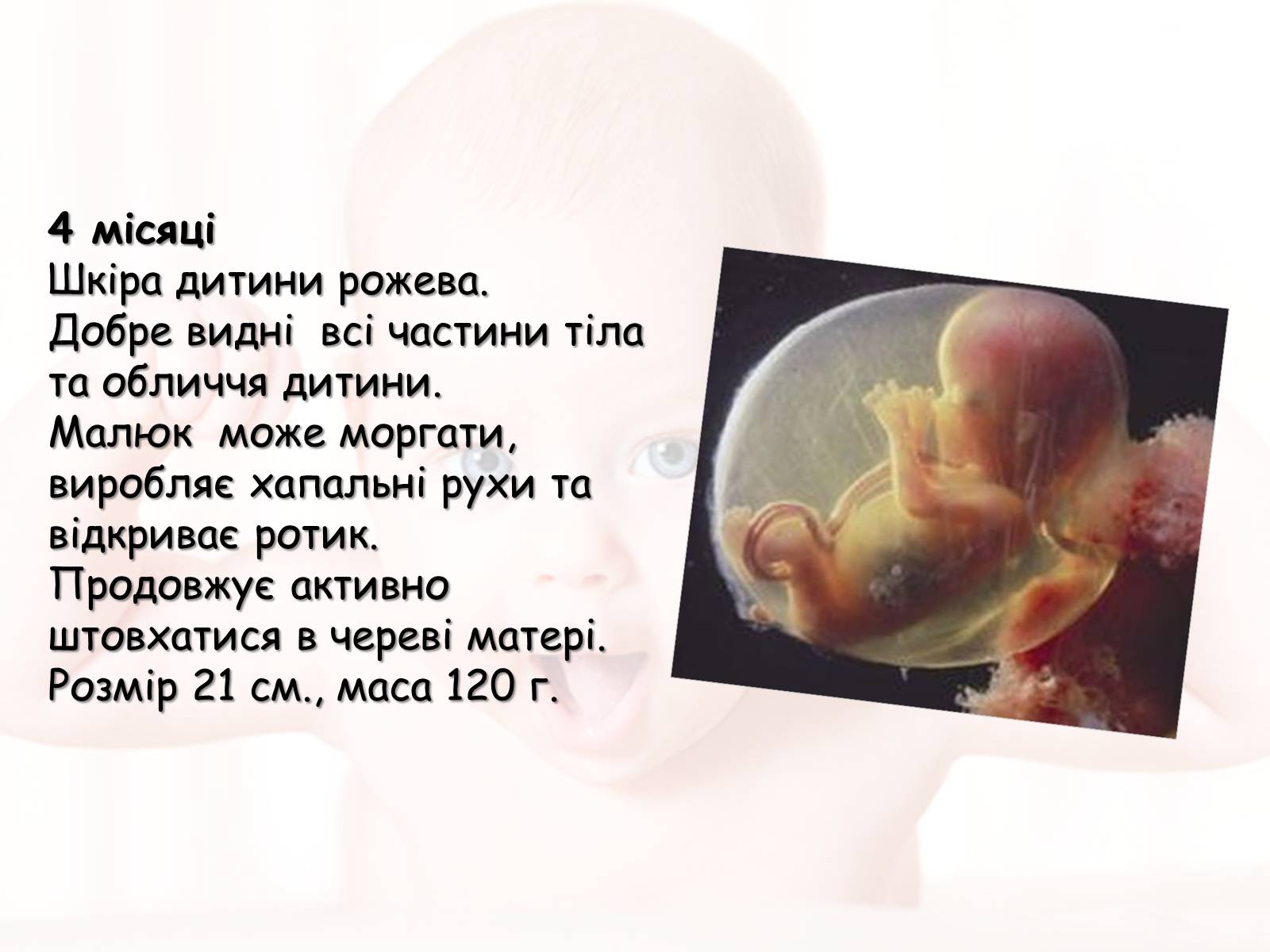 Презентація на тему «Розмноження та розвиток людини» (варіант 2) - Слайд #13