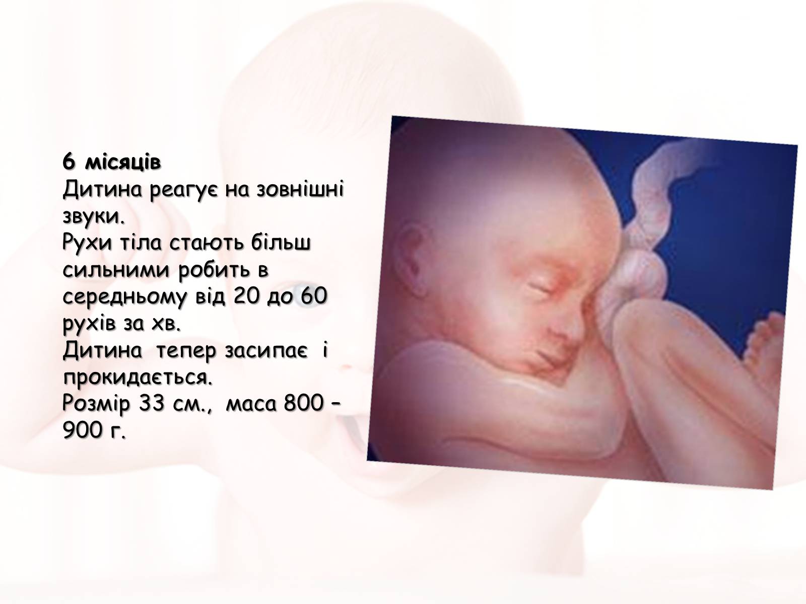 Презентація на тему «Розмноження та розвиток людини» (варіант 2) - Слайд #16