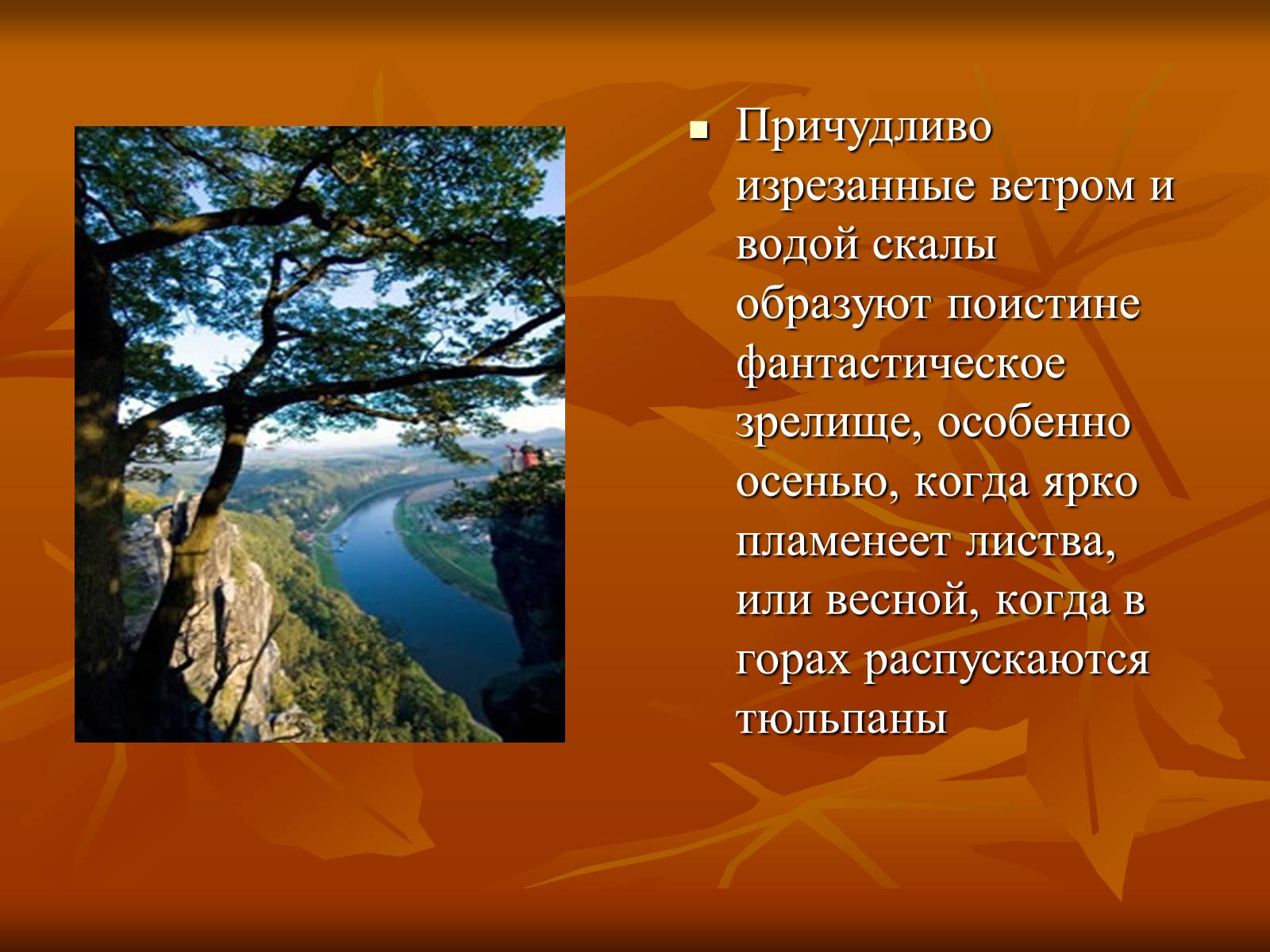 Презентація на тему «Исторические места ФРГ» - Слайд #9