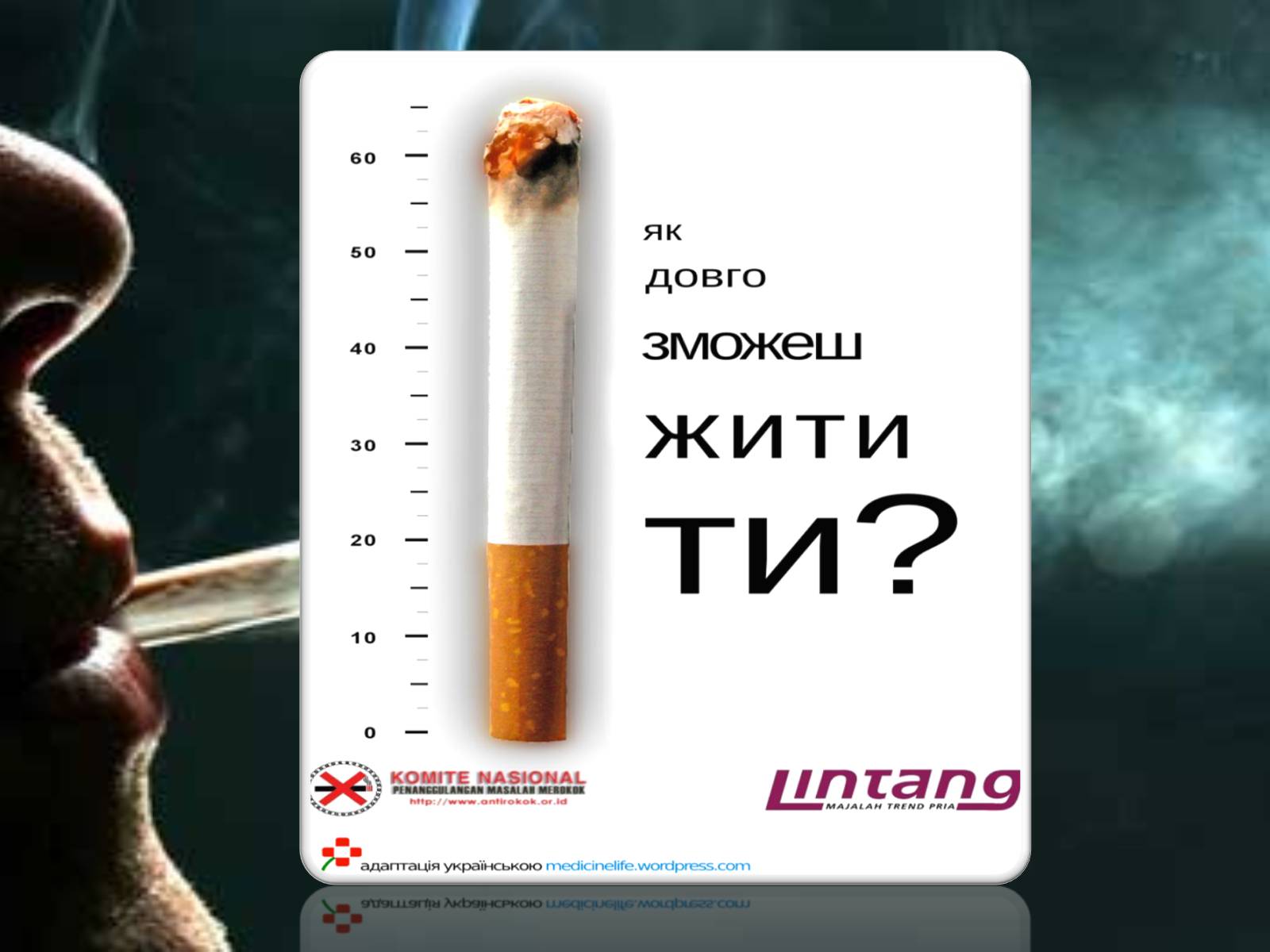 Презентація на тему «Куріння» (варіант 8) - Слайд #15