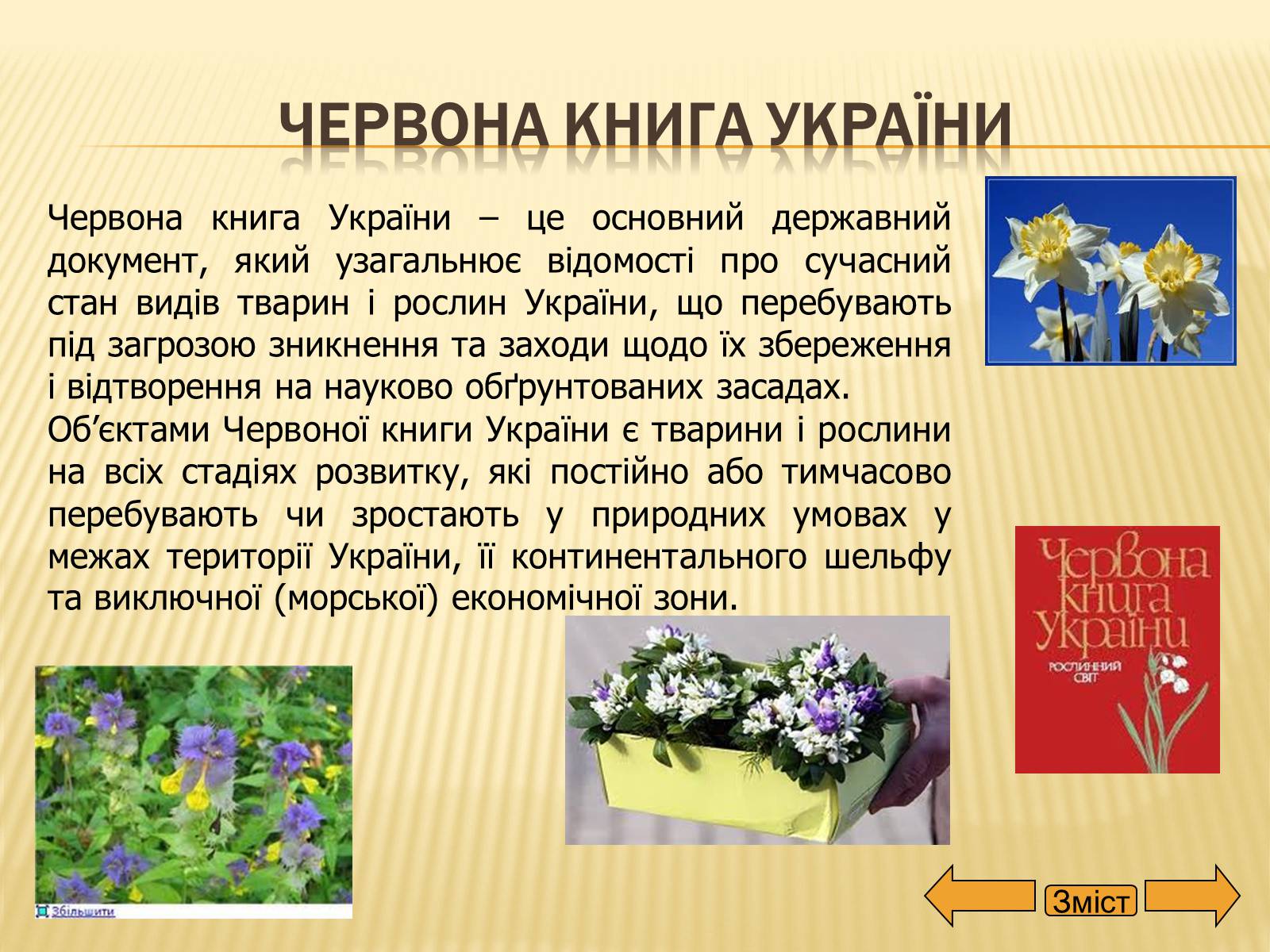 Презентація на тему «Рослини занесені до Червоної та Зеленої книги України» (варіант 2) - Слайд #4