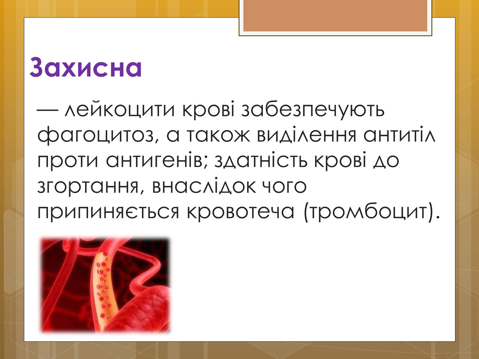 Презентація на тему «Функції крові. Групи крові» - Слайд #8