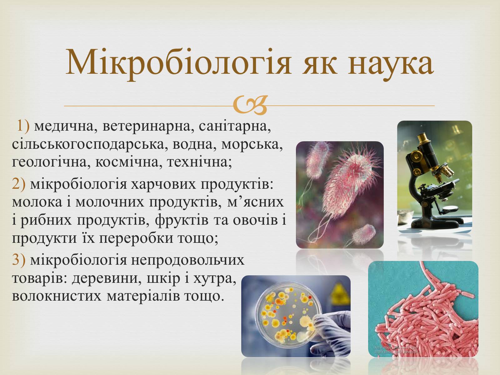 Презентація на тему «Мікробіологічна промисловість» - Слайд #3