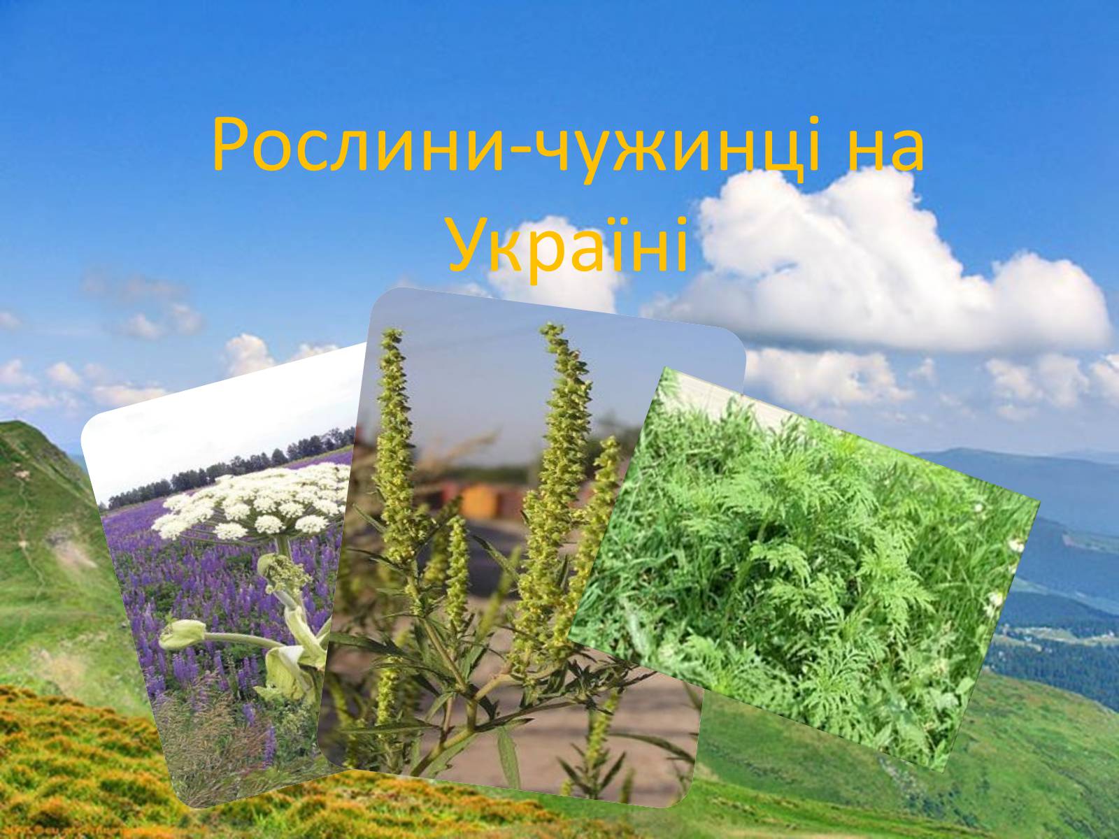 Презентація на тему «Рослини-чужинці на Україні» - Слайд #1