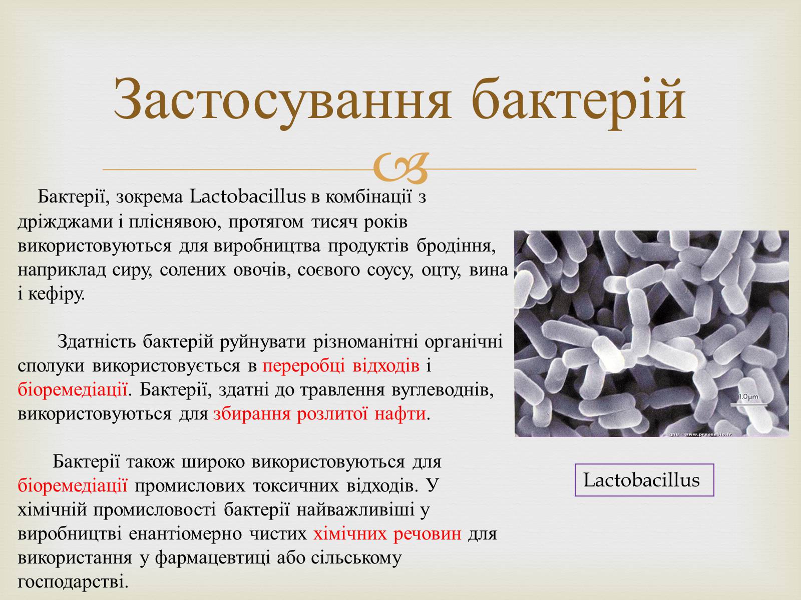 Презентація на тему «Мікробіологічна промисловість» - Слайд #8
