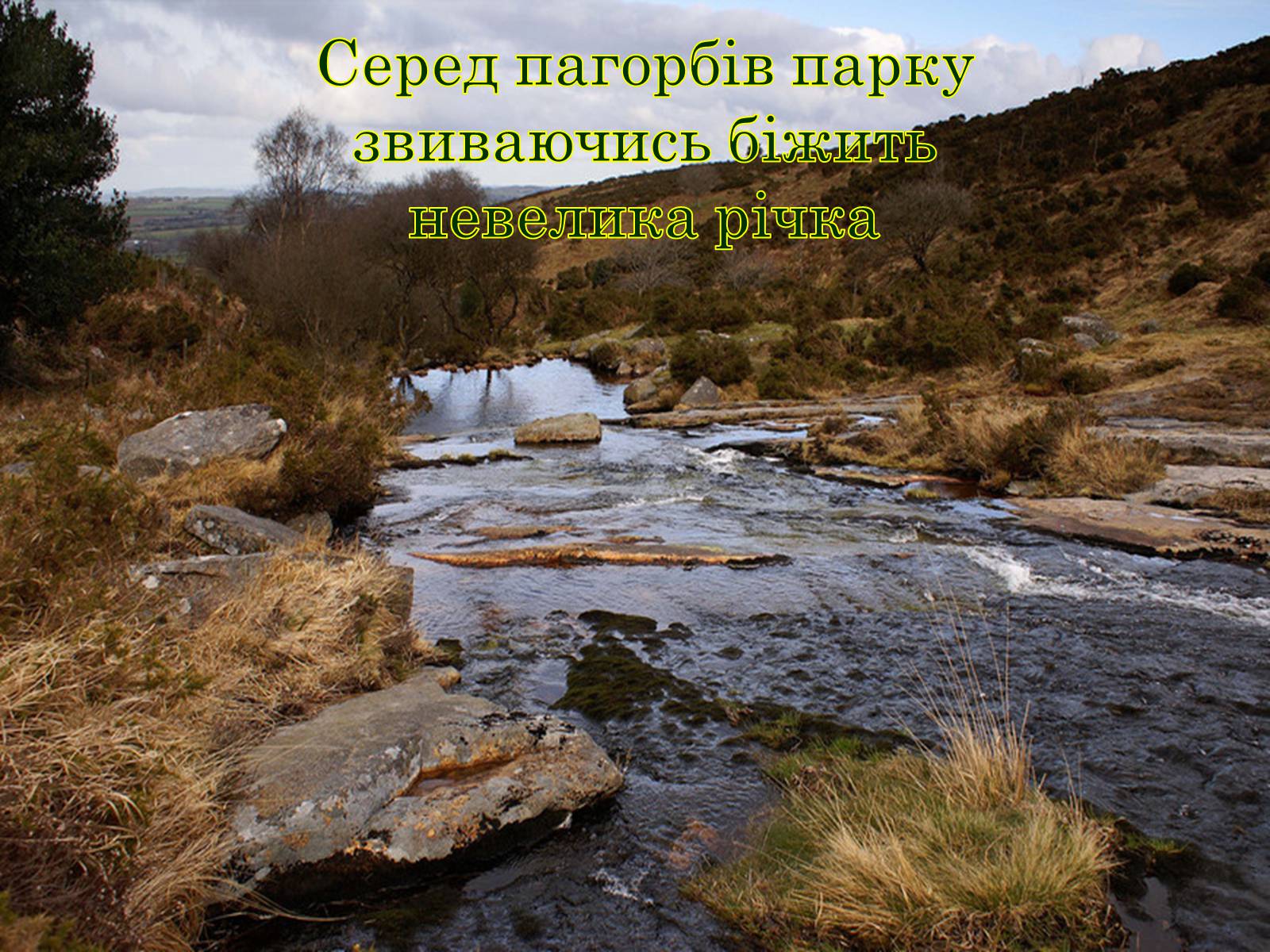 Презентація на тему «Природні парки Великобританії» - Слайд #8