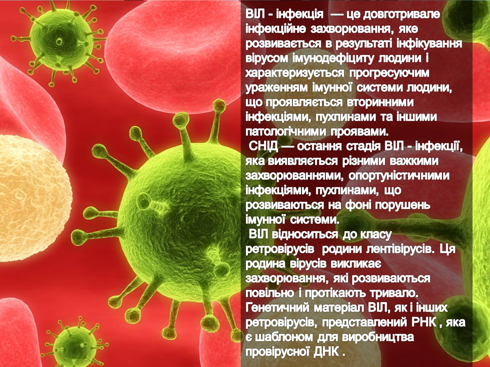 Презентація на тему «Парентеральні вірусні інфекції» - Слайд #12
