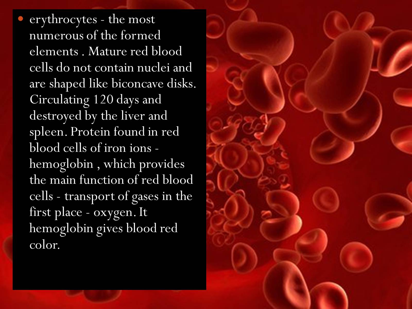 Презентація на тему «Blood» - Слайд #4