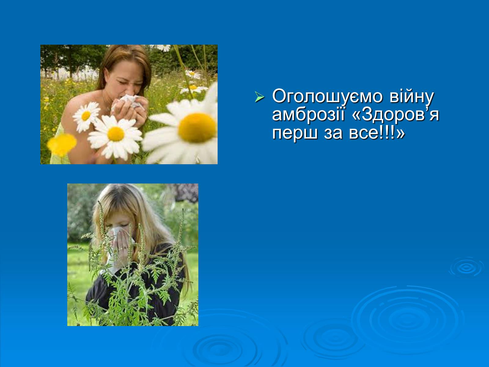 Презентація на тему «Амброзія полинолиста» - Слайд #10